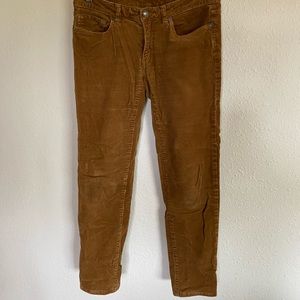 Patagonia Corduroy Pants
